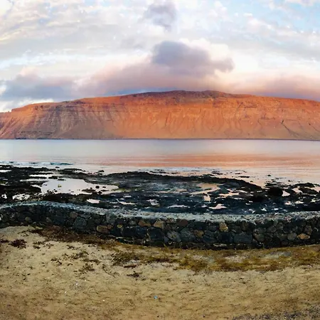 Flor De Cactus, La Graciosa * Caleta de Sebo