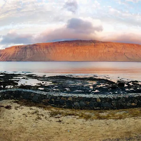 Flor De Cactus, La Graciosa * Caleta de Sebo