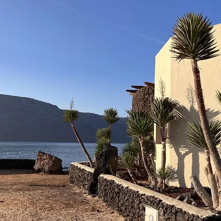 Flor De Cactus, La Graciosa * Caleta de Sebo