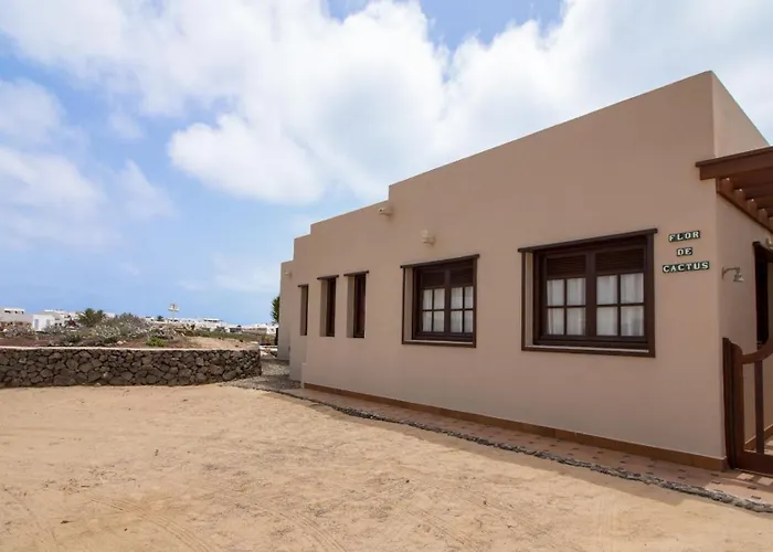Flor De Cactus, La Graciosa *